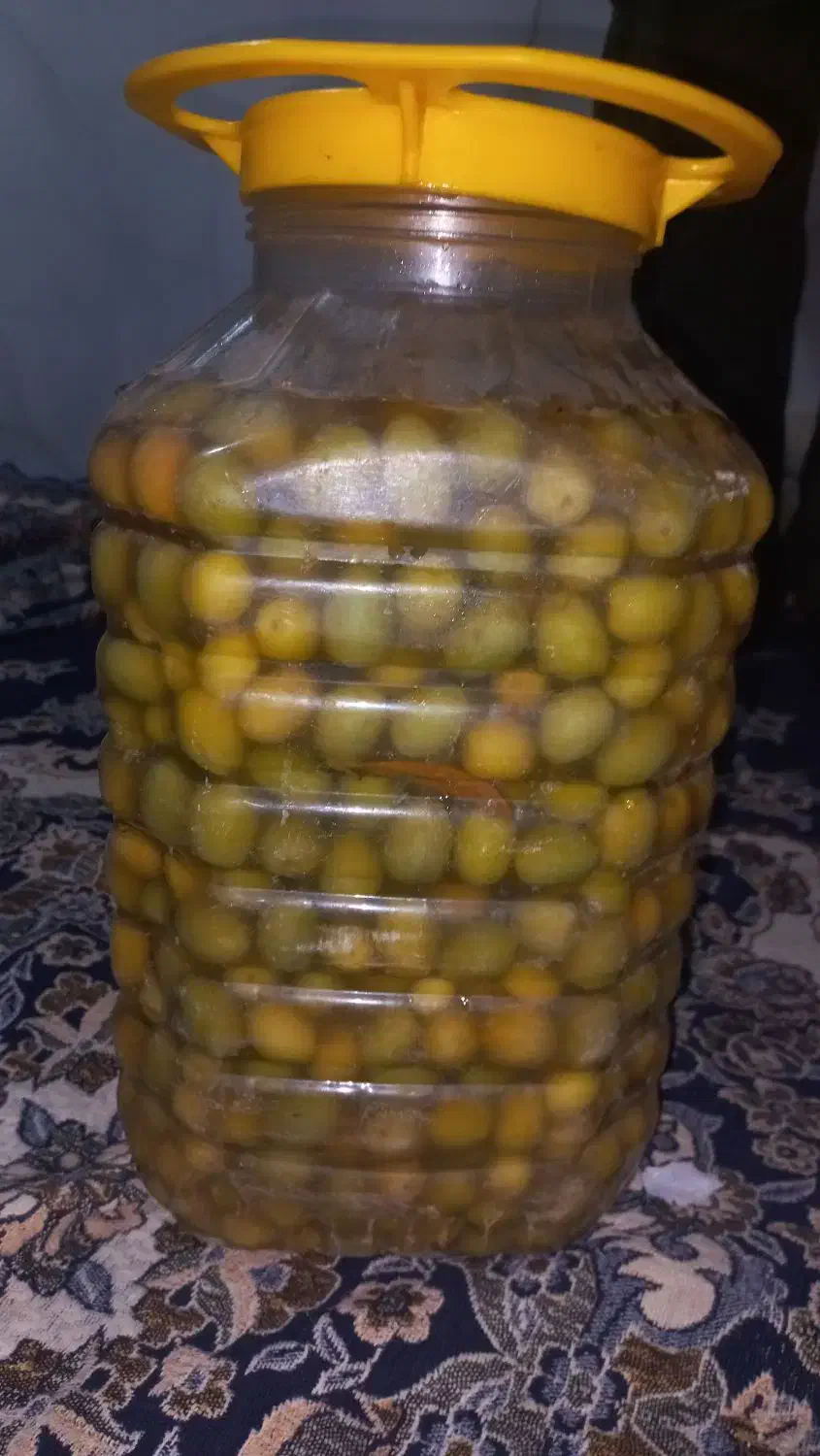 زیتون سالم و شکسته درجه یک|خوردنی و آشامیدنی|چهارباغ, |دیوار