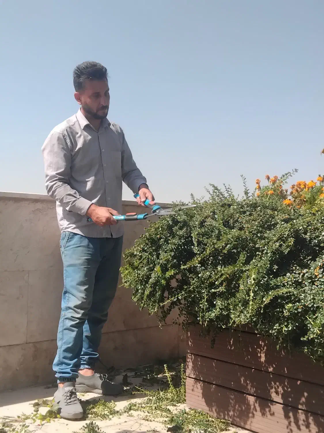 باغبانی سمپاشی گل کاری هرس تعویض گلدان با ضمانت|خدمات باغبانی و درختکاری|تهران, تجریش|دیوار