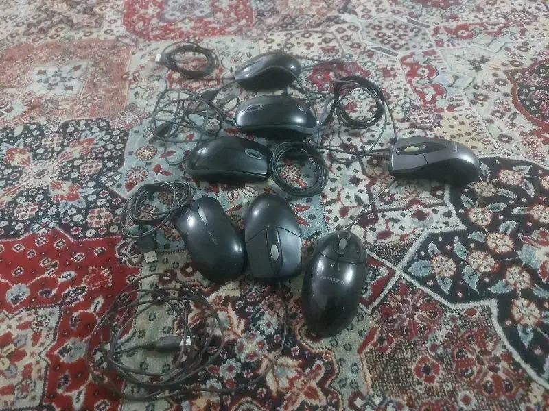 موس|قطعات و لوازم جانبی رایانه|اهواز, زیتون کارگری|دیوار