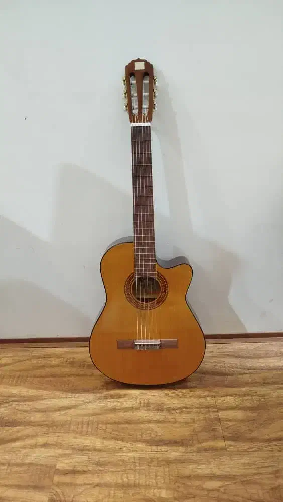 گیتار امپریال|گیتار، بیس، امپلیفایر|مرند, |دیوار