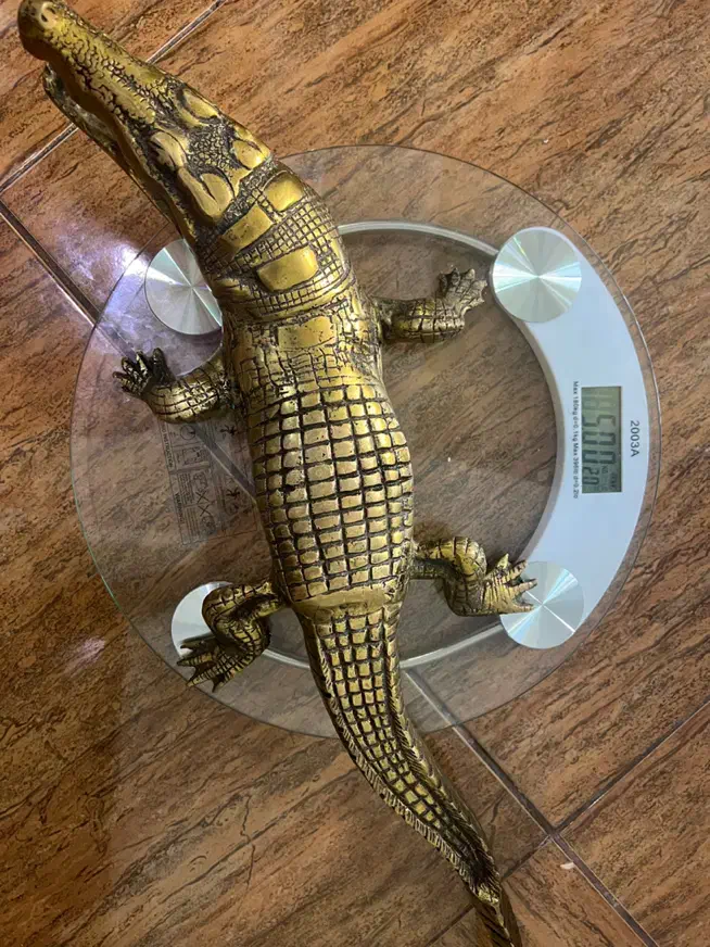 تمساح دکوری|مجسمه، تندیس، ماکت|تهران, جوادیه|دیوار