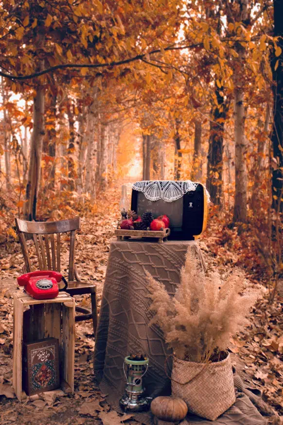 پکیج اقتصادی عکاسی یلدایی و پاییزی|خدمات پذیرایی، مراسم|قزوین, |دیوار