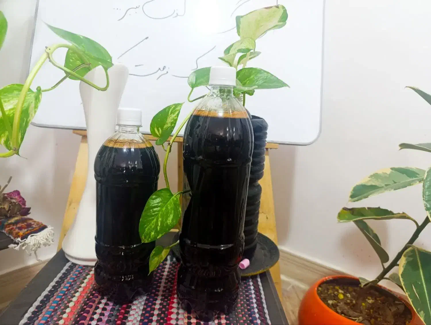 شیره انگور دو کیلو صد ۴۵۰هزار|خوردنی و آشامیدنی|تربتحیدریه, شهرک ولیعصر|دیوار