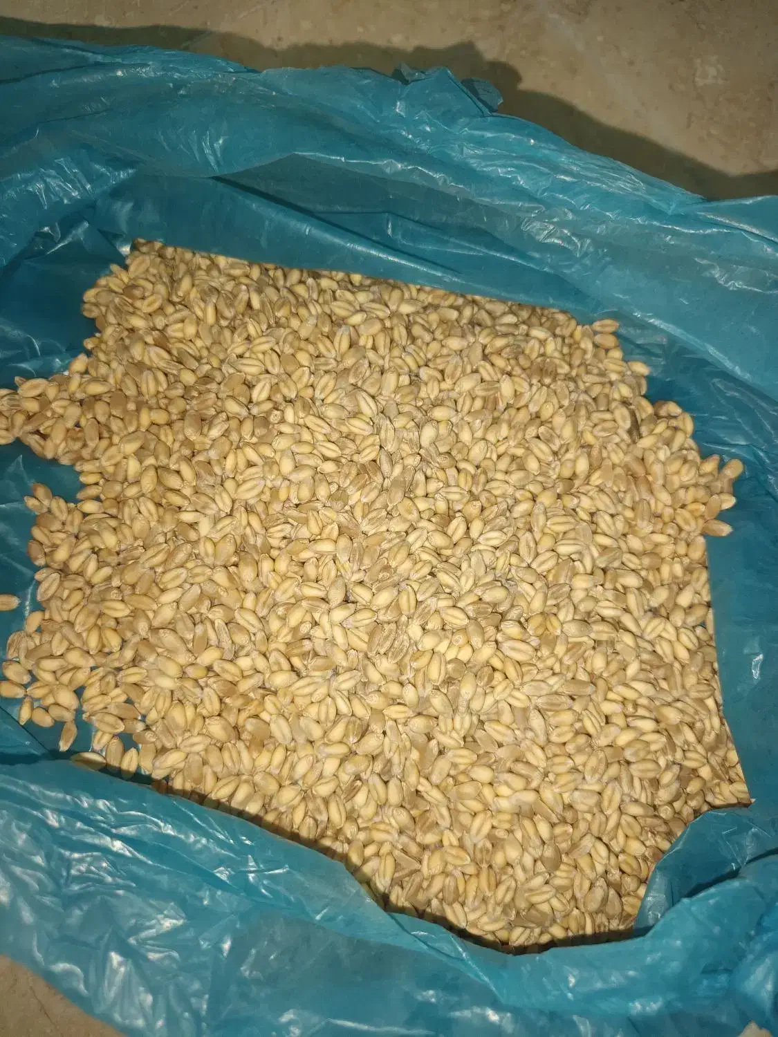 کشاورزی|عمده‌فروشی|اراک, |دیوار