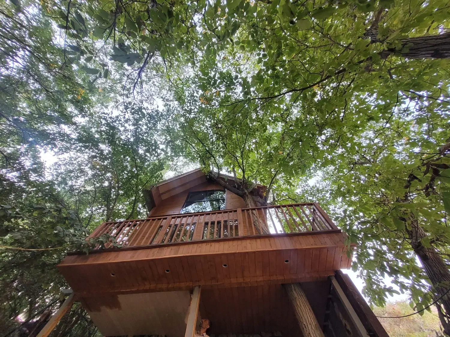 ویلاهای پیش ساخته چوبی و کانکس چوبی کوچیک|خدمات پیشه و مهارت|رامسر, |دیوار