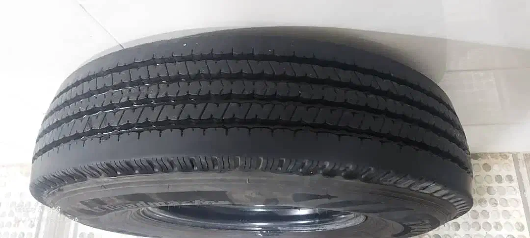 رینگ ولاستیگ بارز نیسان|قطعات یدکی و لوازم جانبی|مرودشت, تامین اجتماعی|دیوار