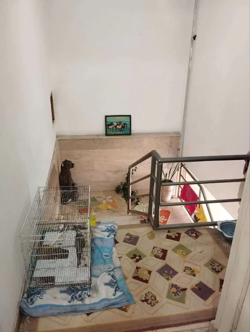 خانه حیاط دار ۱۲۰ متری در بهترین مکان|فروش خانه و ویلا|امیرکلا, |دیوار