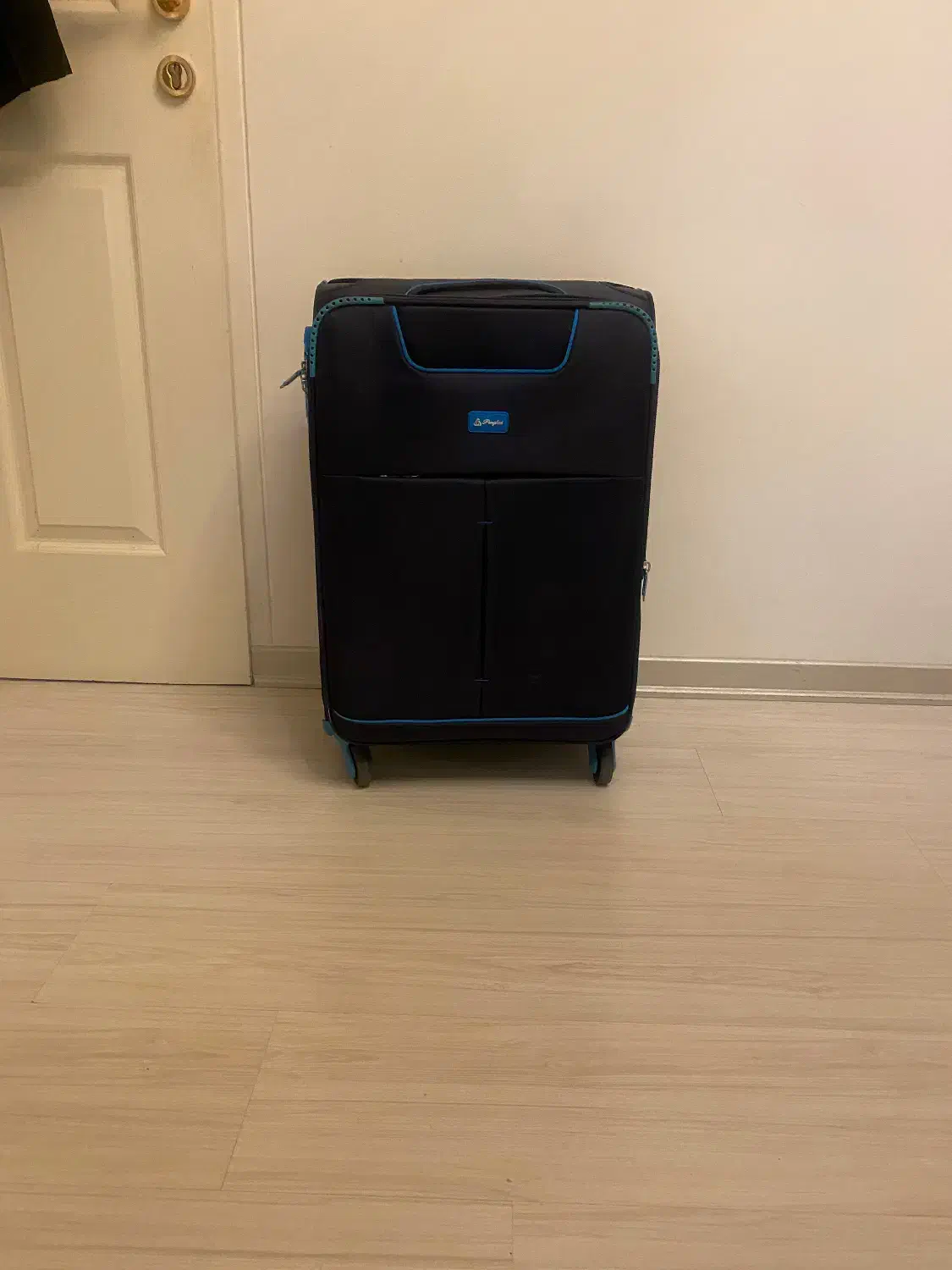 چمدان مسافرتی سایز بررگ|کیف، کفش، کمربند|شیراز, خلیلی|دیوار