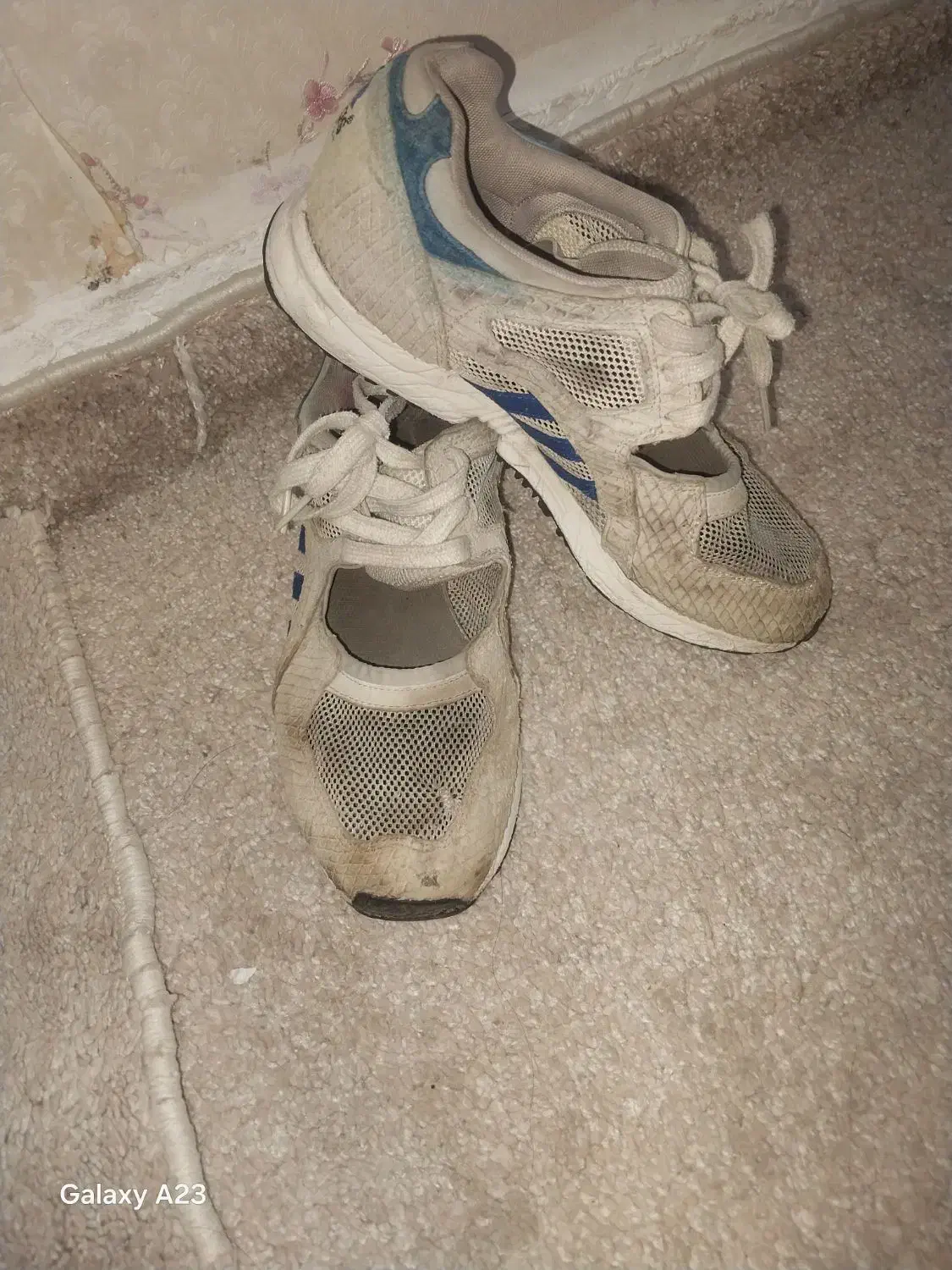 کتونی zx|کیف، کفش، کمربند|قرچک, شهرک الحدید|دیوار