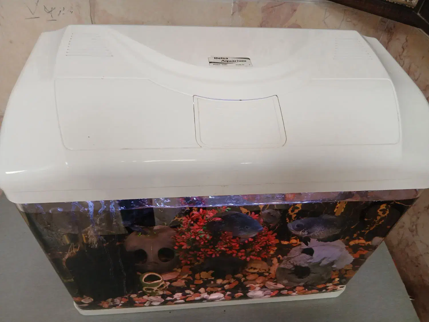 آکواریوم بهمراه ماهی و تمامی امکانات لازم|ماهی|فیروزکوه, |دیوار