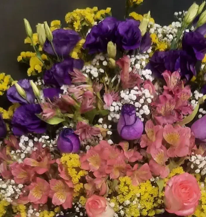 راهنمایی کنید|فعالیت داوطلبانه|قزوین, |دیوار