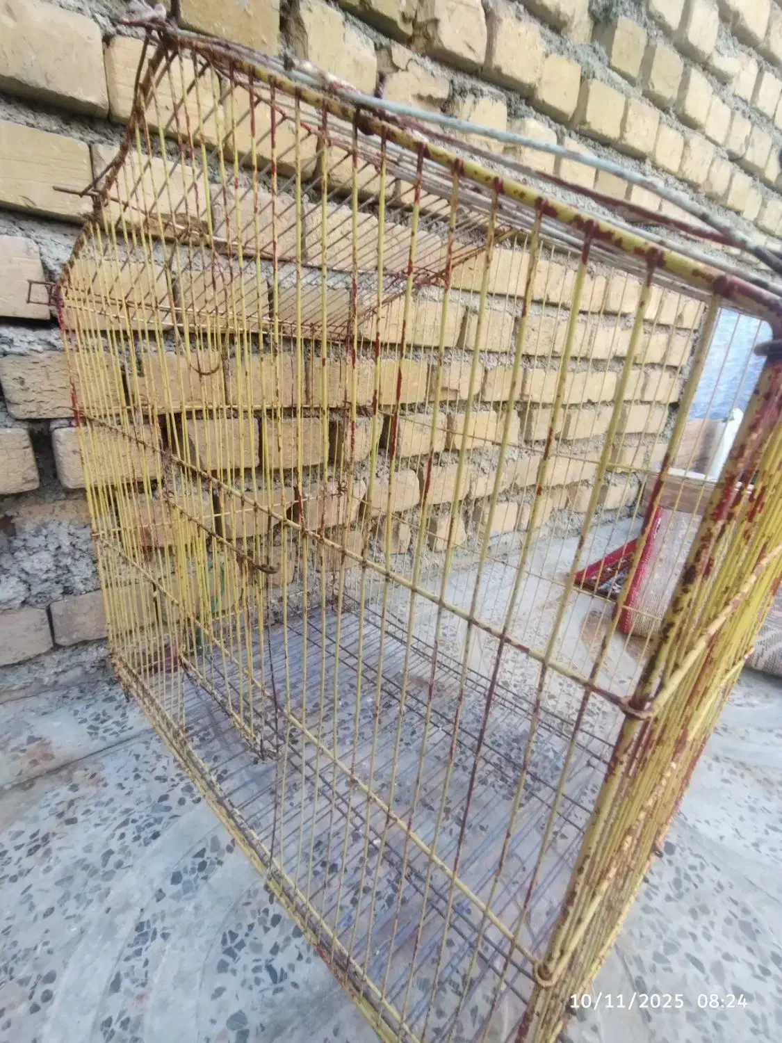 قفس پرنده فروشی|لوازم جانبی حیوانات|آبدانان, |دیوار