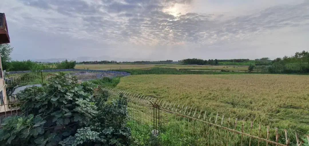 همسفر|فعالیت داوطلبانه|ساوه, |دیوار