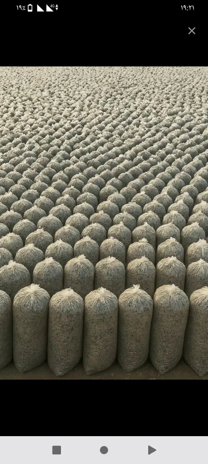 تفاله چغندر|عمده‌فروشی|چهاربرج, |دیوار