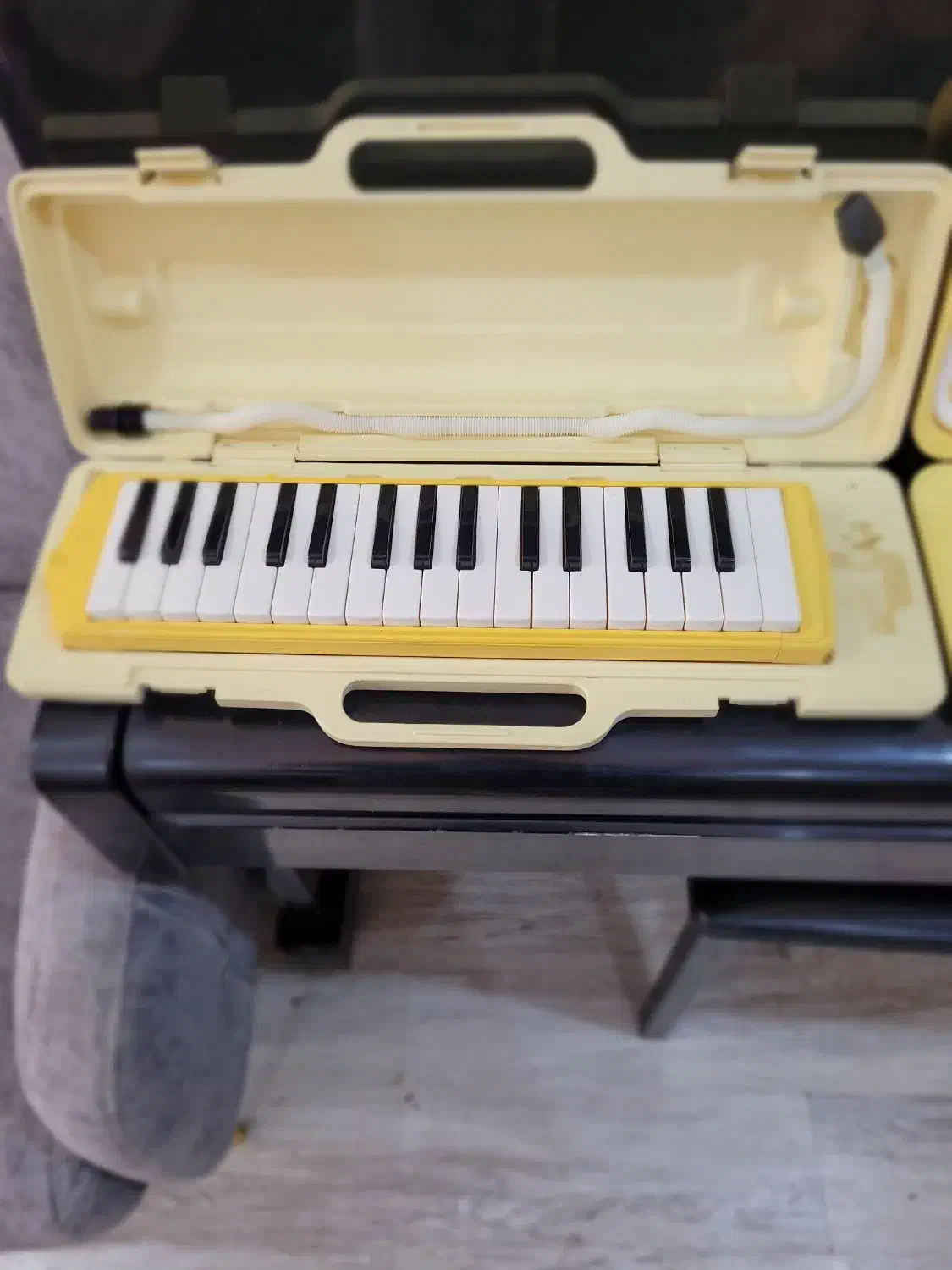 ملودیکا یاماها|پیانو، کیبورد، آکاردئون|اهواز, کیانپارس |دیوار