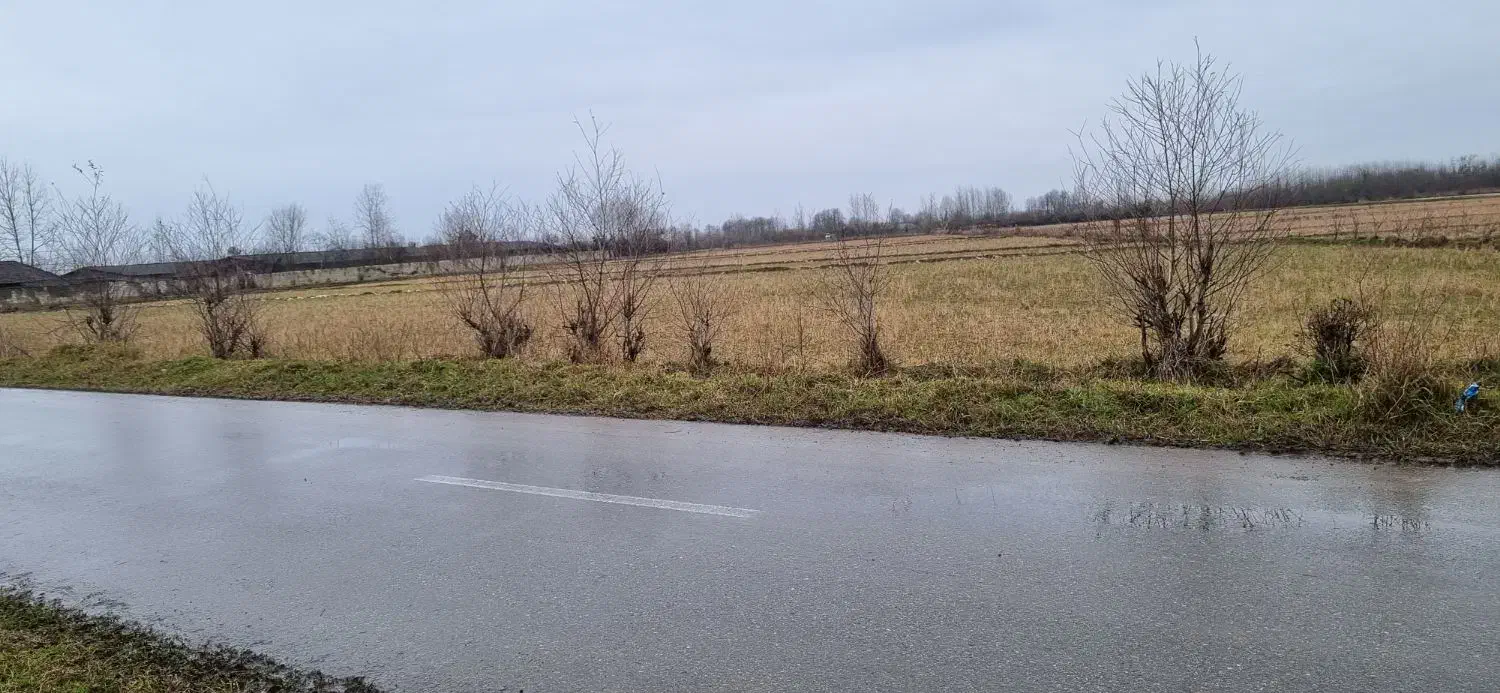 شالیزار بر خیابان اصلی|فروش زمین و ملک کلنگی|گوراب زرمیخ, |دیوار