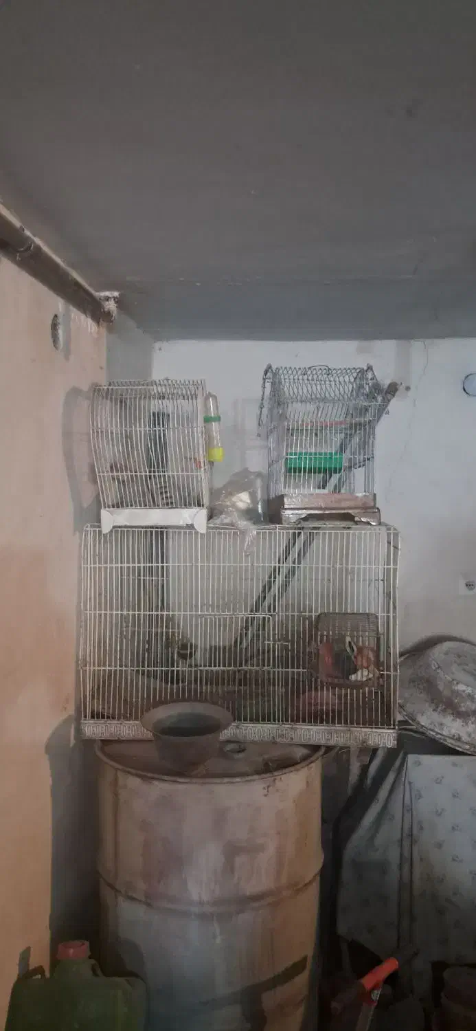 قفس پرندگان|لوازم جانبی حیوانات|اردبیل, |دیوار