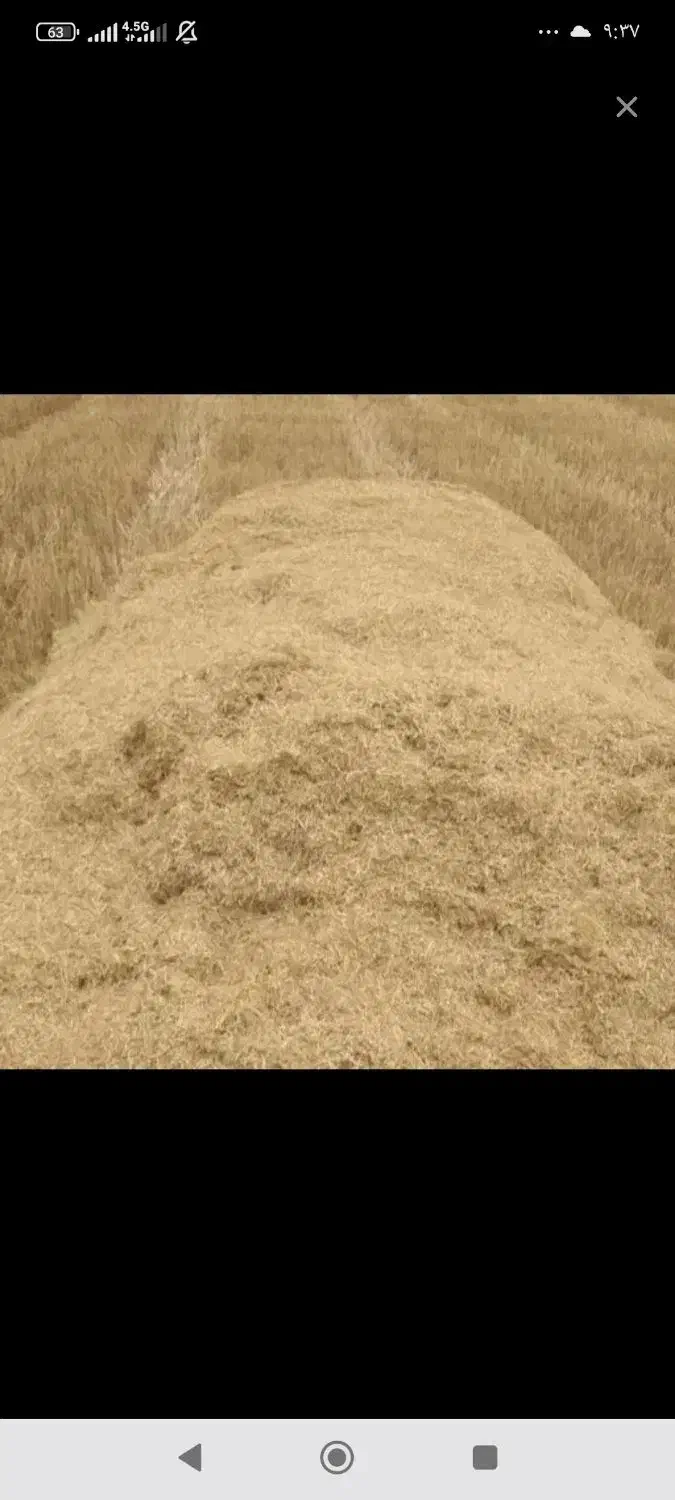 کاه گندم درجه یک|لوازم جانبی حیوانات|قروه, |دیوار