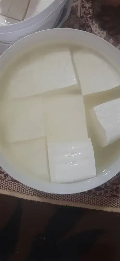 پنیر محلی همدان|خوردنی و آشامیدنی|کرج, باغ سیب|دیوار