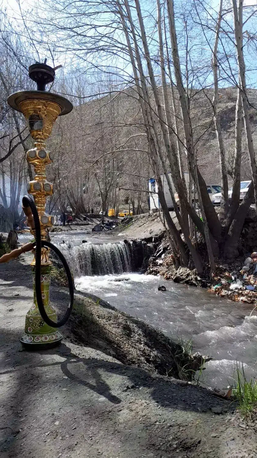 قلیان عربی|کلکسیون و سرگرمی|مشهد, قائم|دیوار