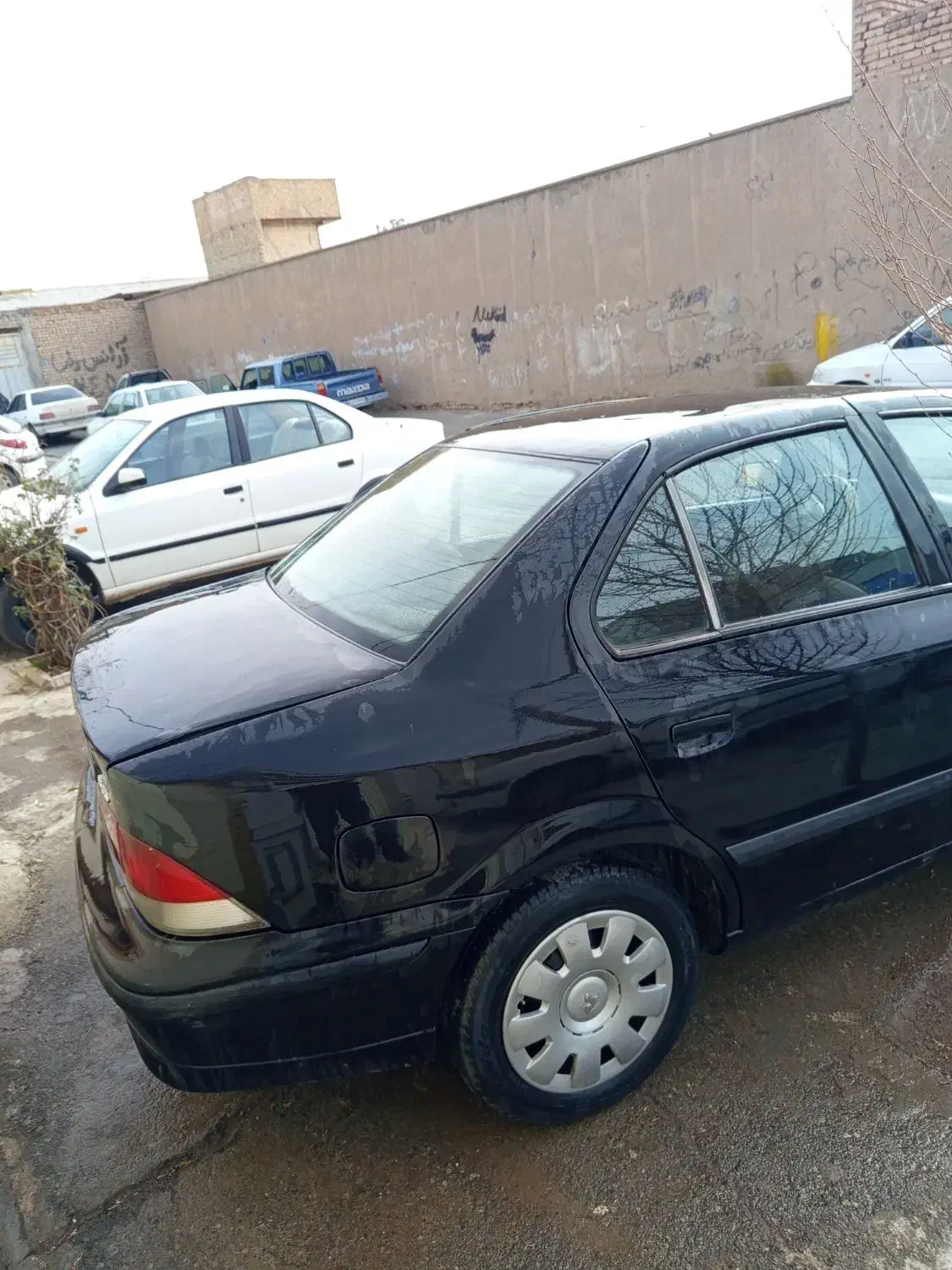 سمند مدل ۸۱ کاشمر|خودرو سواری و وانت|مشهد, ترمینال|دیوار