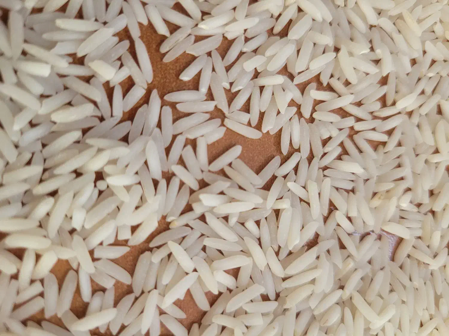 فروش برنج هاشمی|خوردنی و آشامیدنی|رشت, بوسار|دیوار