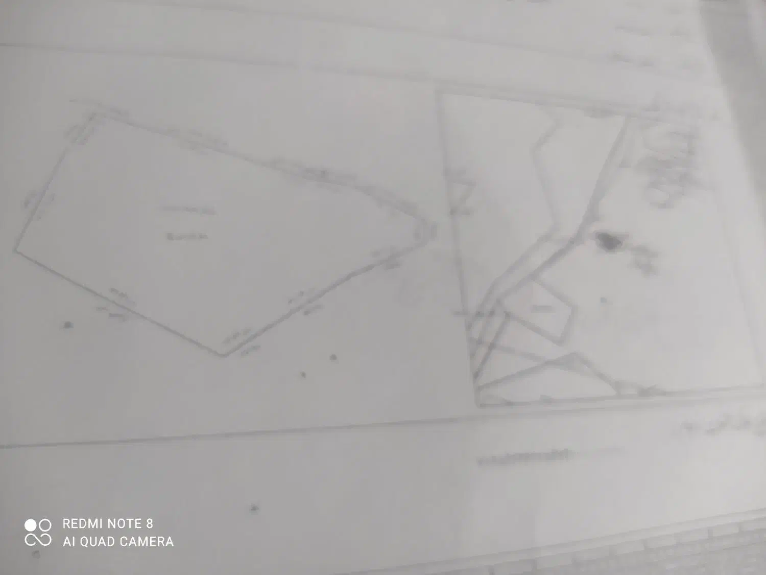 هزارمترزمین کشاورزی باسندتک برگ فروشی|فروش زمین و ملک کلنگی|بیرجند, |دیوار