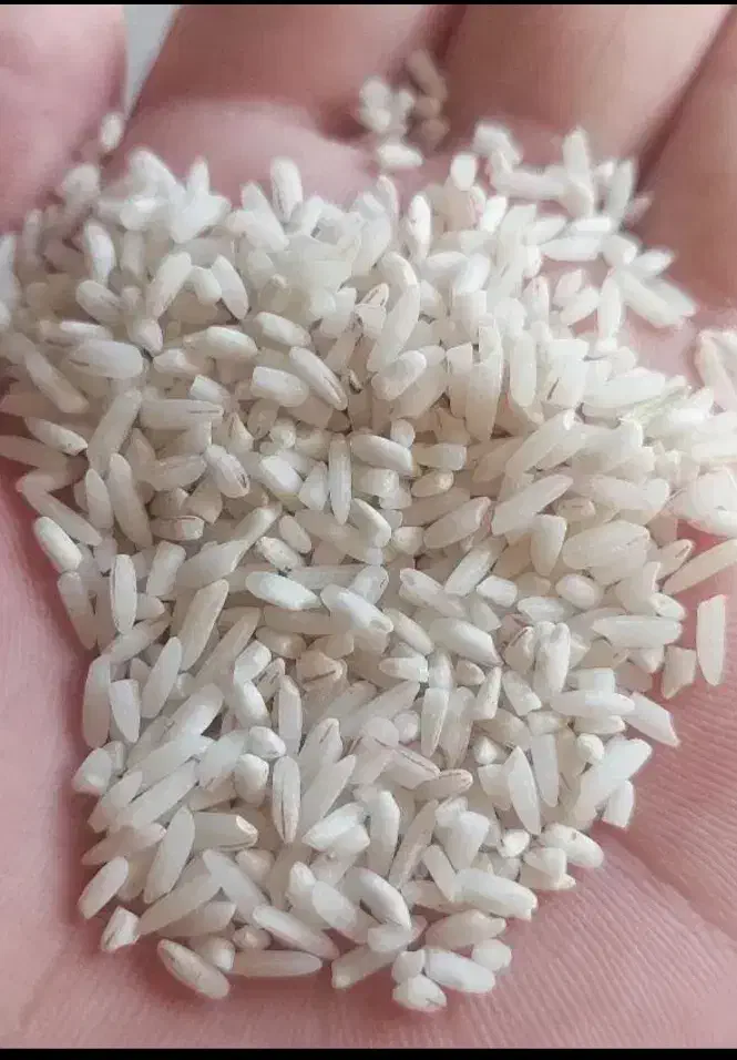 برنج نیم دانه هاشمی (عطری)|خوردنی و آشامیدنی|زنجان, |دیوار