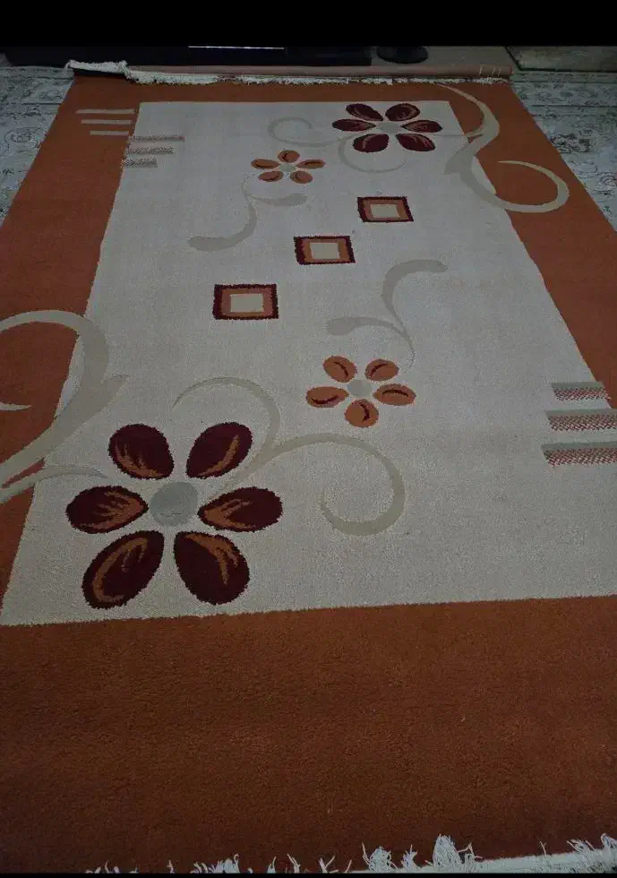 گلیم فرش ۶ متری گل برجسته|گلیم، جاجیم، گبه|کرمانشاه, |دیوار