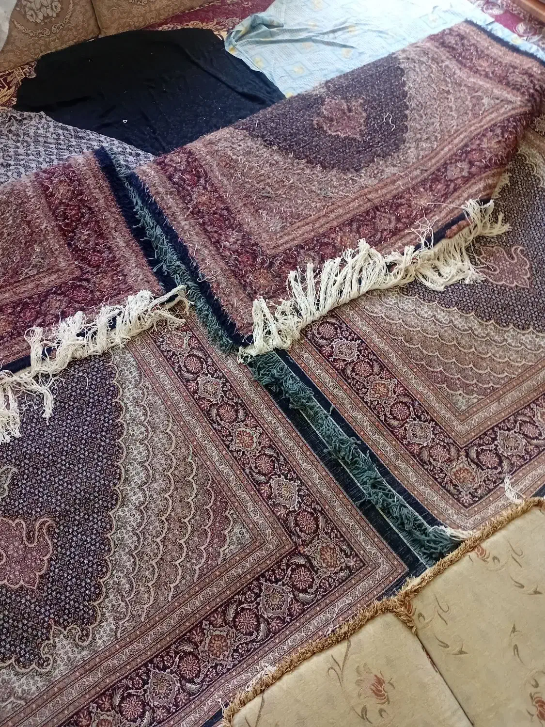 فرش جفت شش متری ماهی خوی|فرش|تبریز, |دیوار