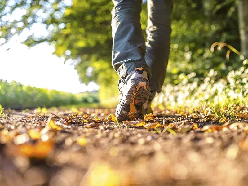 همدلی|گردهمایی و همایش|مشهد, شهید فرامرز عباسی|دیوار