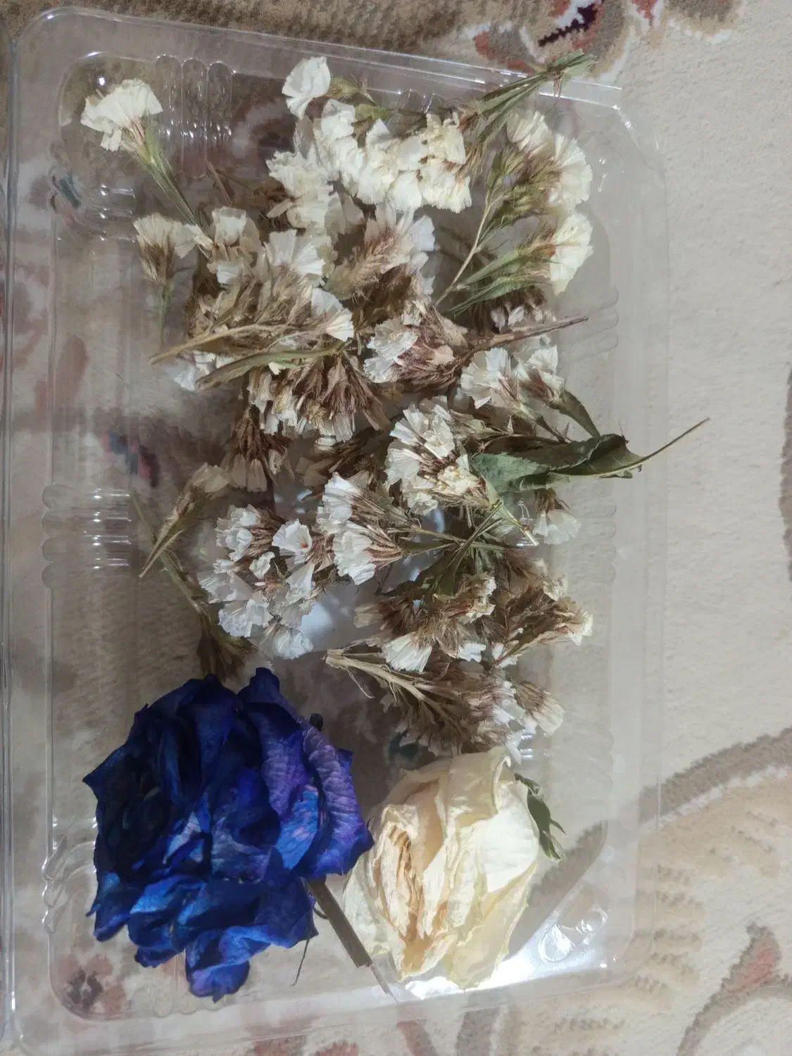 گل خشک|صنایع دستی و سایر لوازم تزئینی|آبیک, |دیوار