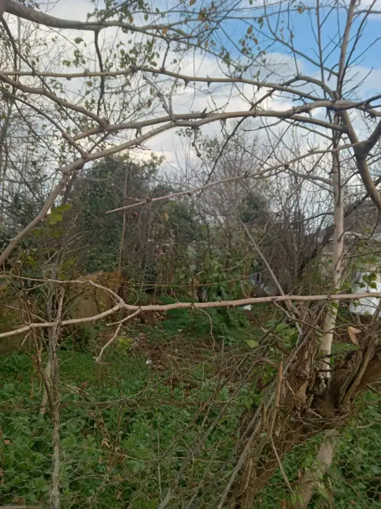 زمین سنددار رضوانشهر|فروش زمین و ملک کلنگی|رشت, چله خانه|دیوار