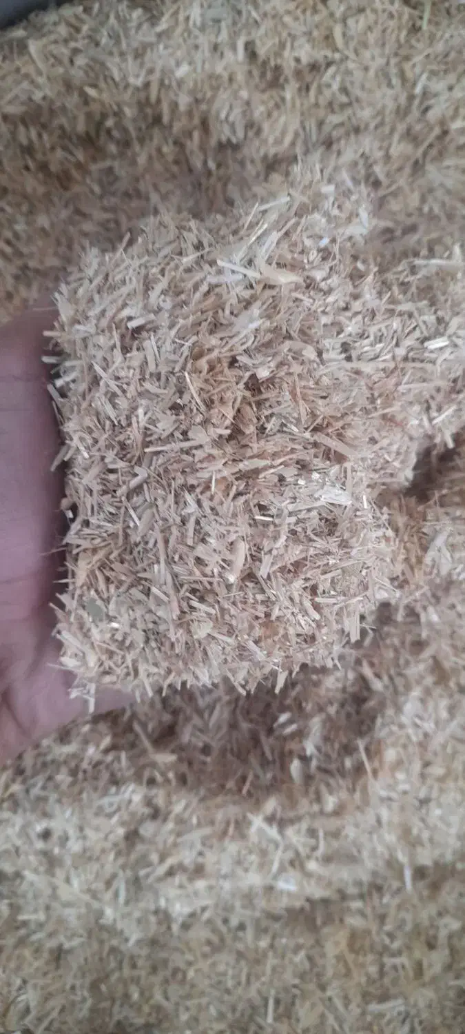 180000|لوازم جانبی حیوانات|مانه, |دیوار