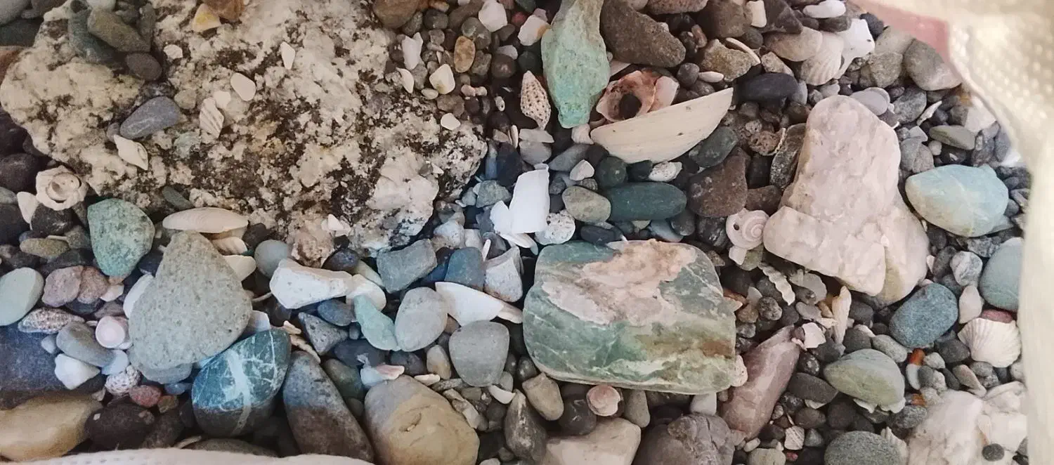 شن وسنگ اکواریوم|ماهی|ملایر, |دیوار