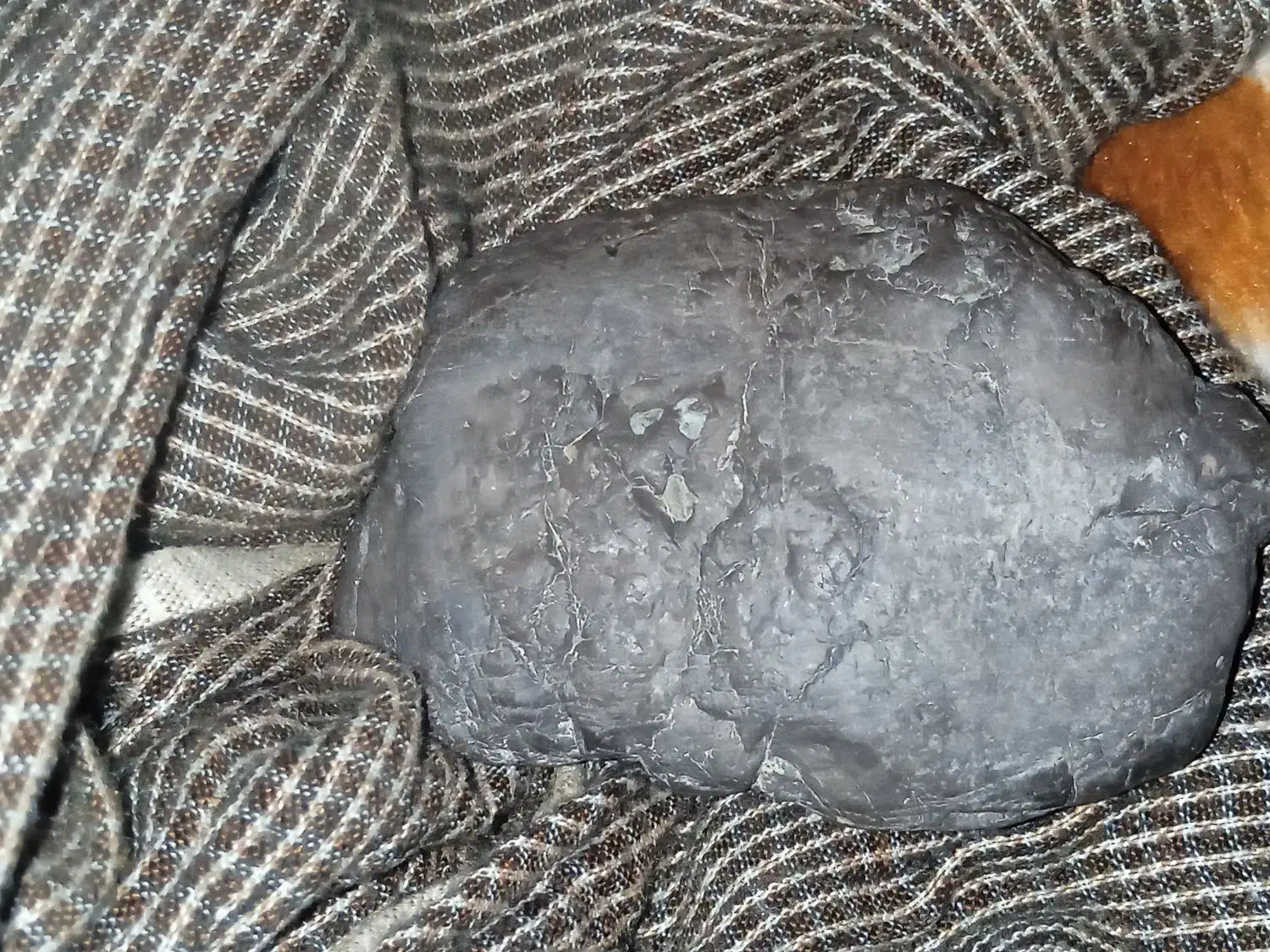 فروش شهاب سنگ|کلکسیون اشیاء عتیقه|چاه داد خدا, |دیوار