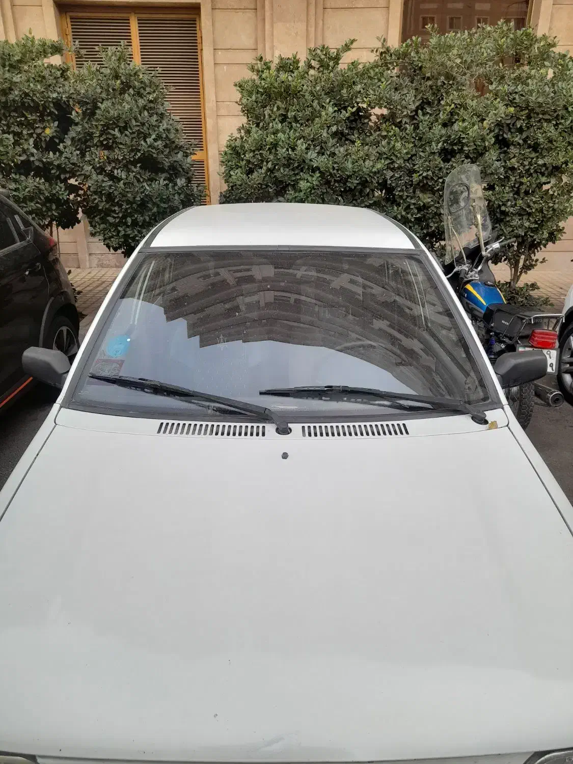 پراید81 شاسی بدونه ترک و جوش|خودرو سواری و وانت|تهران, کن|دیوار