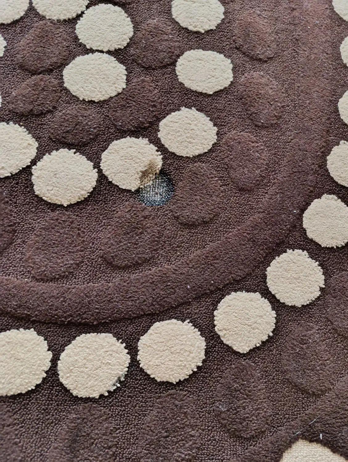 فرش قهوه ای کرم|فرش|کردکوی, |دیوار