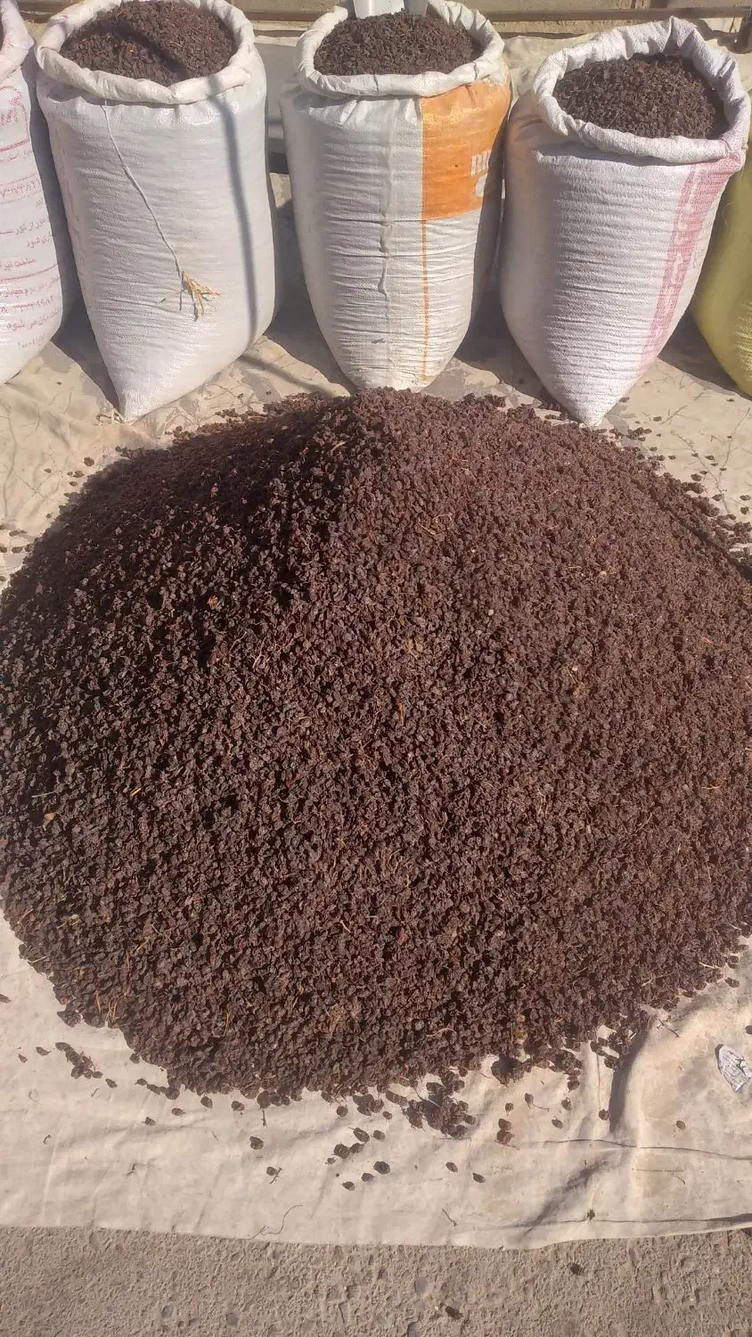 فروش فوری کشمش اعلا آفتابی|خوردنی و آشامیدنی|اصفهان, قلعه طبره|دیوار