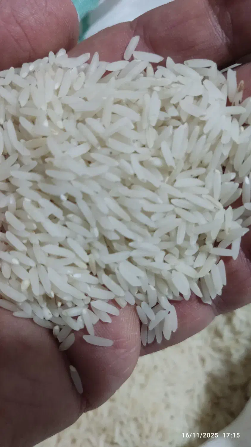 فروش برنج طارم هاشمی قیمت توافقی|خوردنی و آشامیدنی|قائم‌شهر, |دیوار