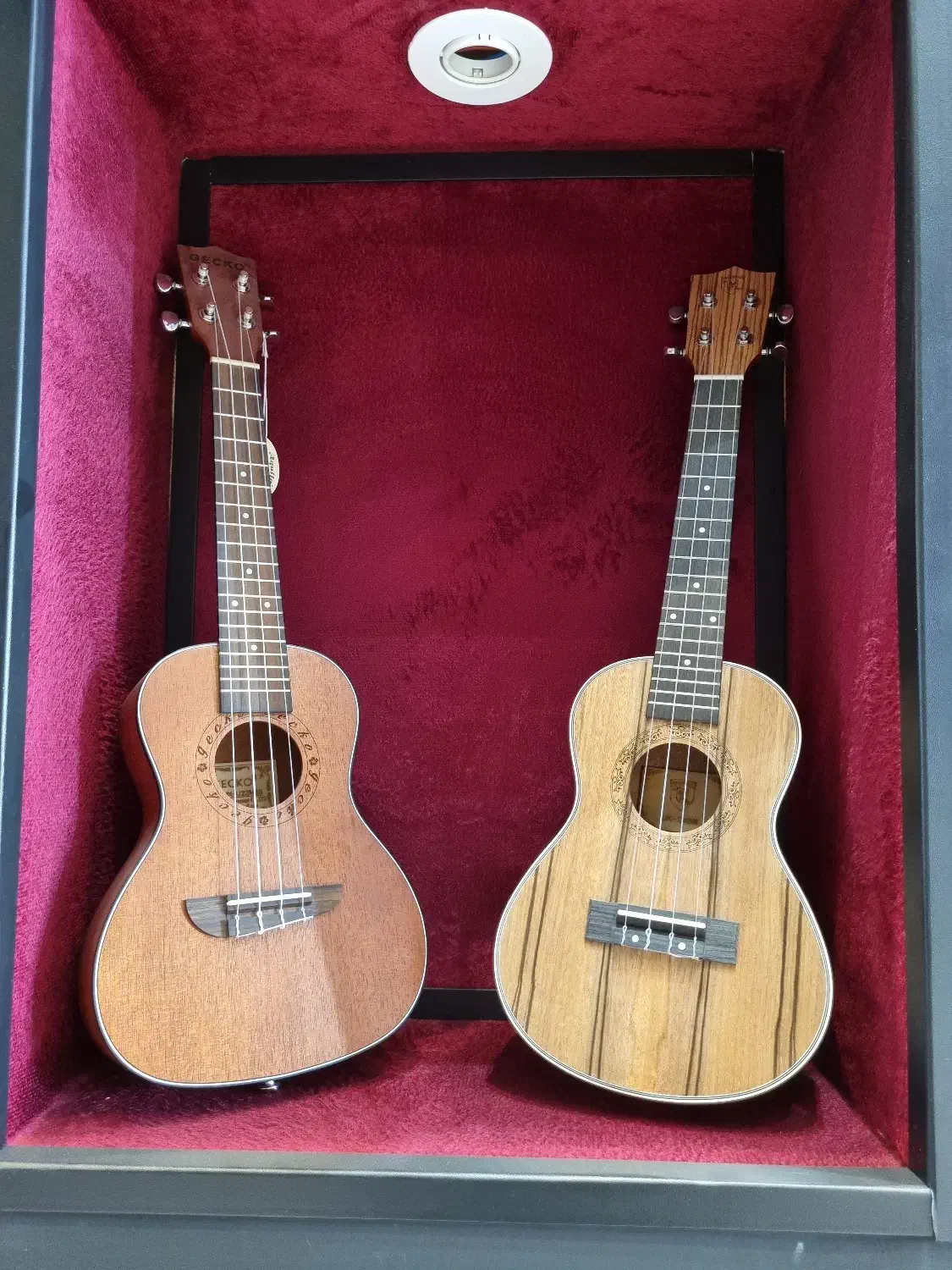 فروش انواع گیتار یوکله له پیکاب دار و ساده|گیتار، بیس، امپلیفایر|اردبیل, |دیوار