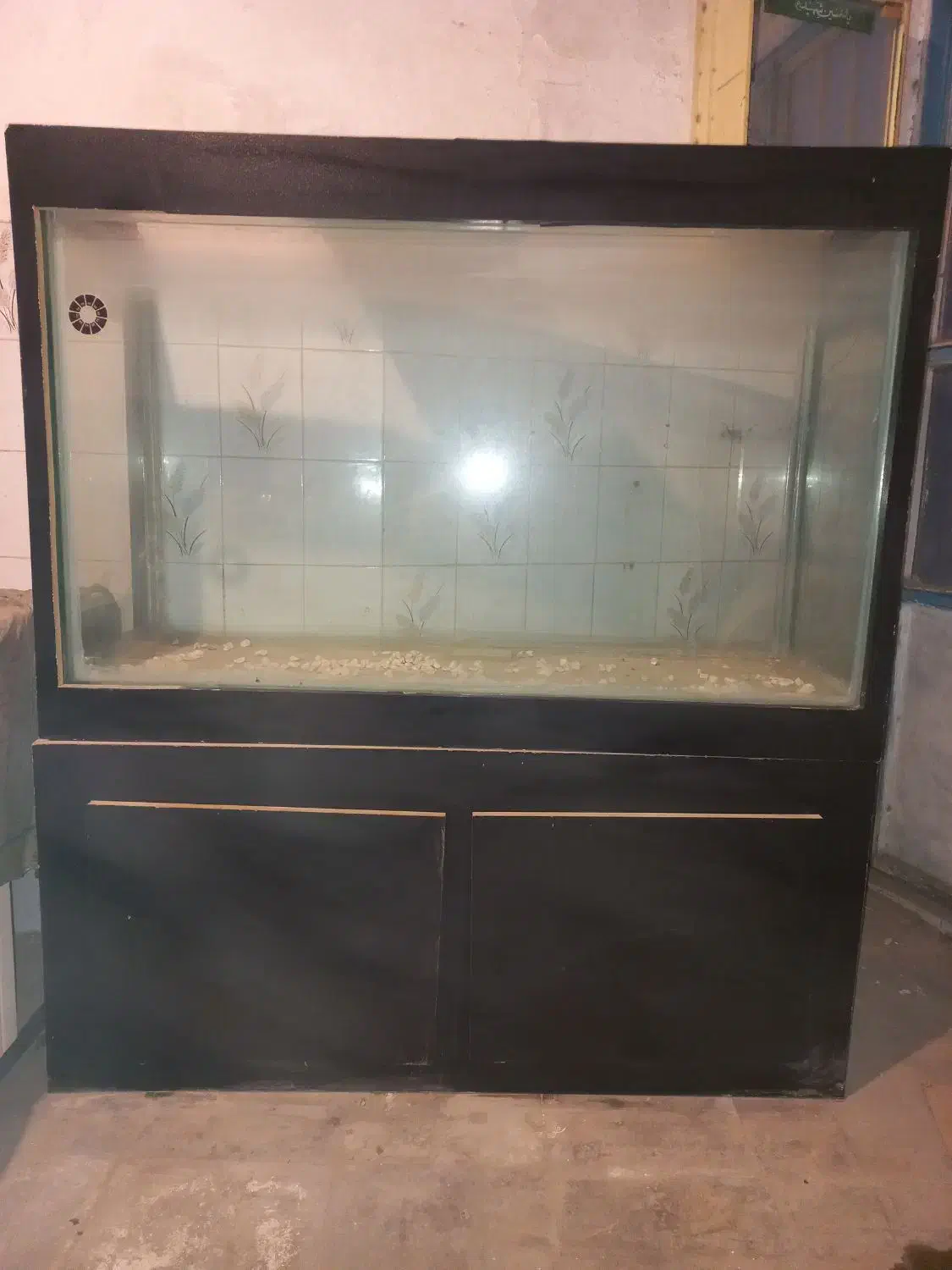 اکواریوم|ماهی|کرمان, |دیوار