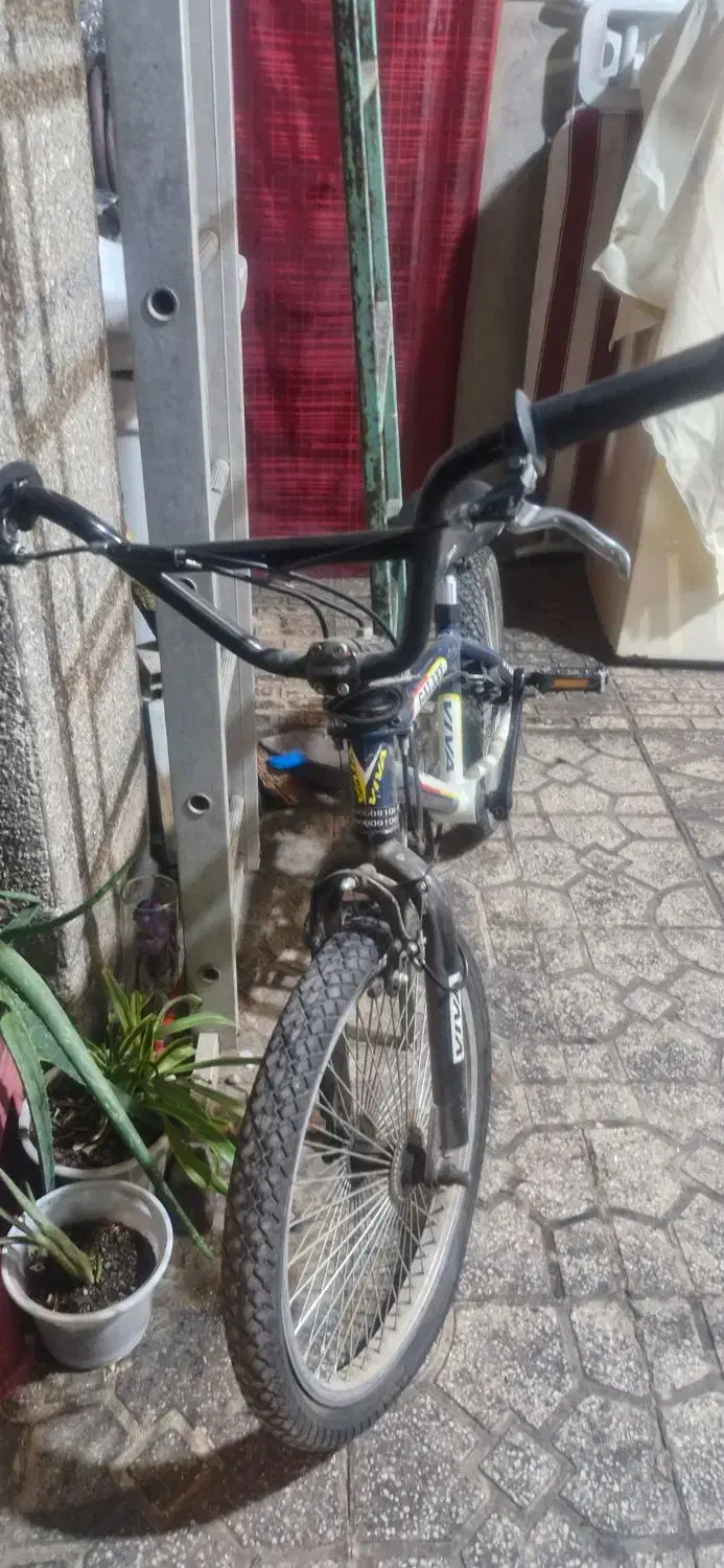 دوچرخه ویوار اصل|دوچرخه، اسکیت، اسکوتر|تهران, دهقان|دیوار