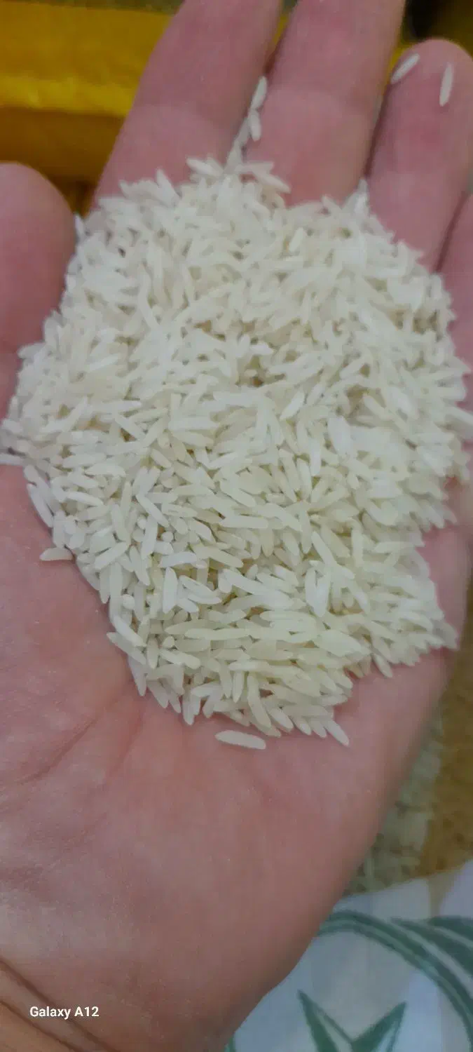 برنج فجر مجلسی شمالی     اصفهان کارت  کالابرگ ازاد|خوردنی و آشامیدنی|اصفهان, رزمندگان|دیوار