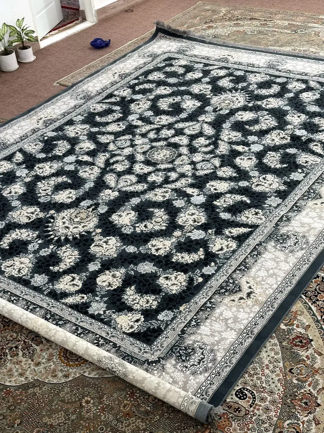 فرش نو|فرش|گرگان, |دیوار