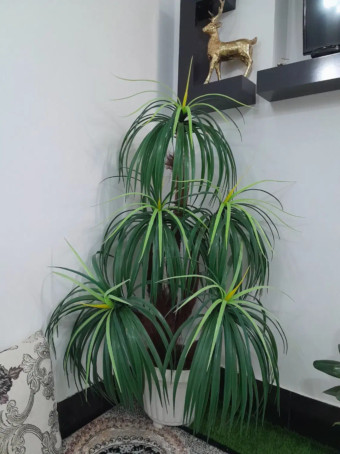 درختچه مصنوعی نخل مردابی|گل مصنوعی|زابل, |دیوار