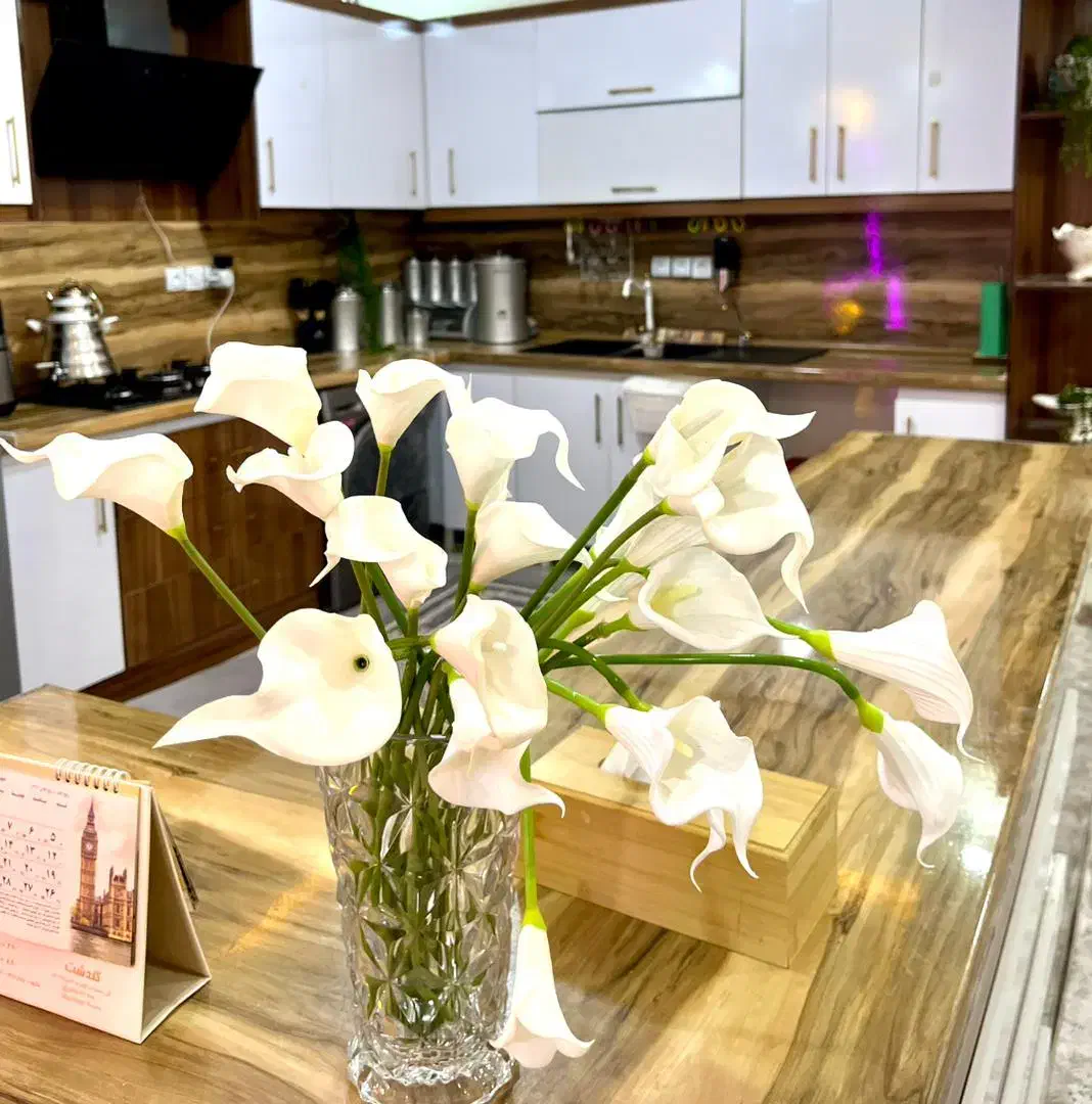 فروش خانه ویلایی زابل خیابان دانشگاه ۱۲|فروش خانه و ویلا|زهک, |دیوار