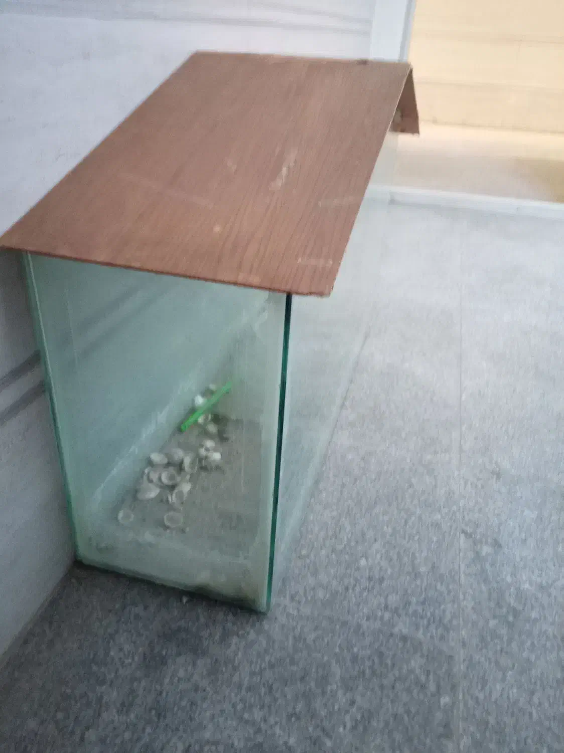 سلام آکواریم|ماهی|نیشابور, بنیاد شهید|دیوار