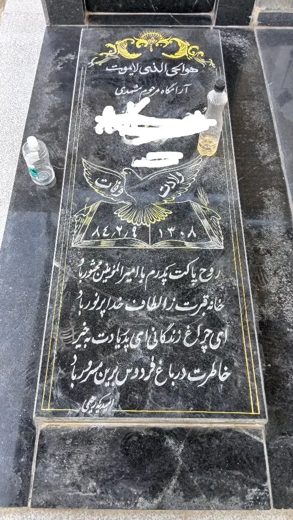 قلم|تابلو، نقاشی، عکس|امیدیه, |دیوار