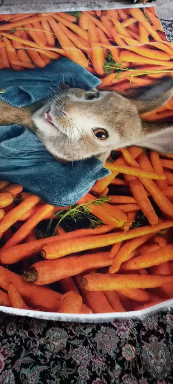 فرش اتاق کودک نو نو|فرش|کرج, ساسانی (قلمستان)|دیوار